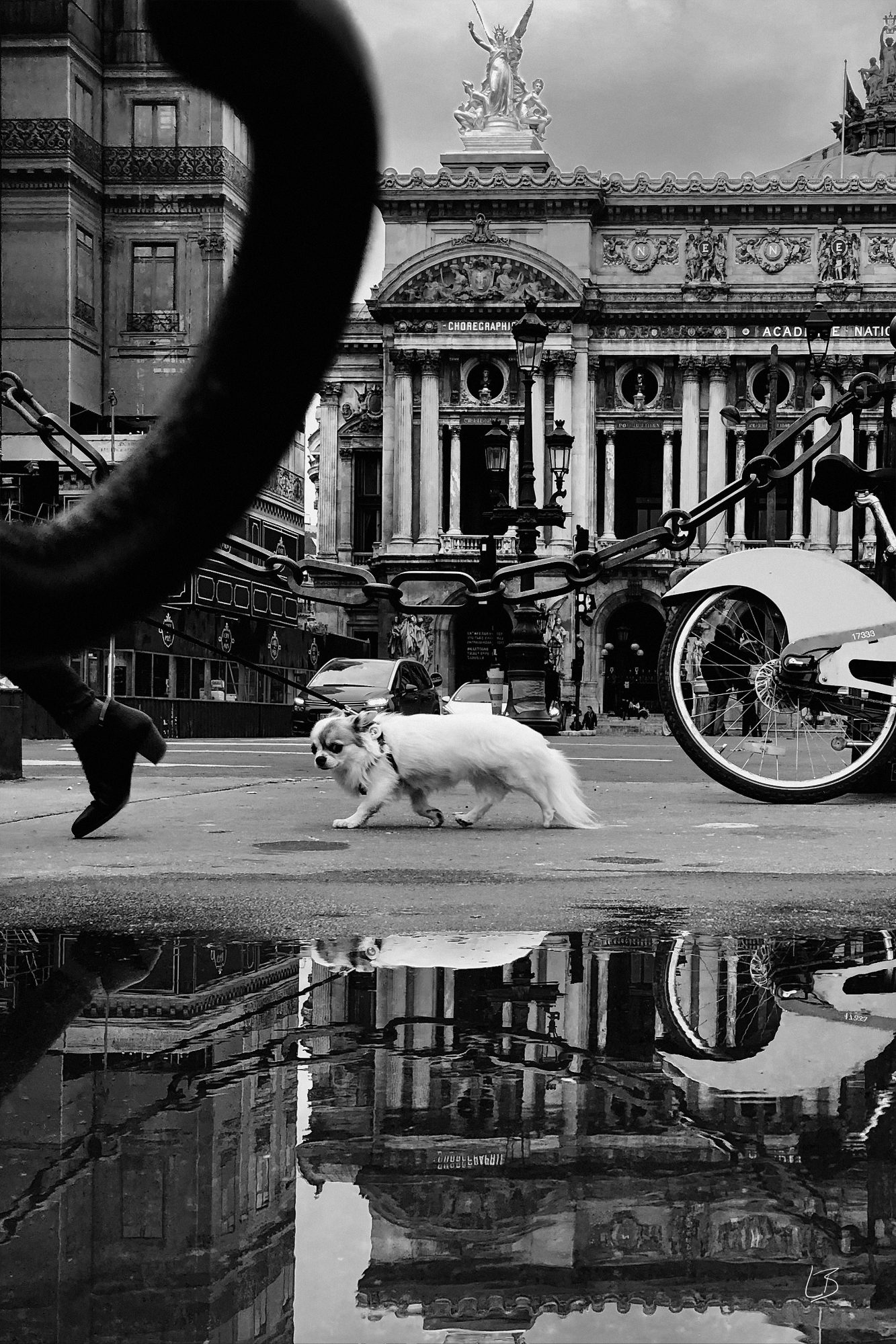 « 003 On my way », photographie d'art de Ludovic Baron
